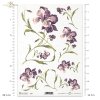 flowers, irises, with irises flowers, purple irises, long stems, natural size 